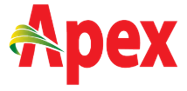 Apex